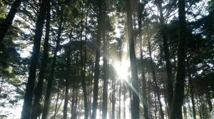 10448559_441607525977624_2696553935156550011_o